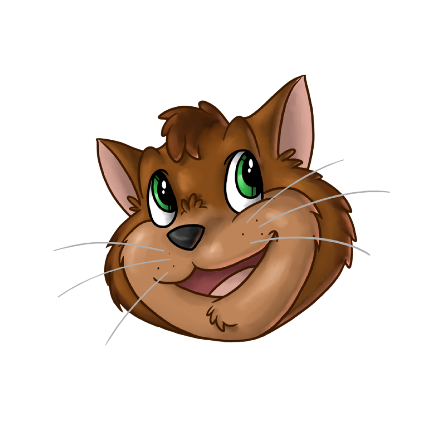 Fassa &mdash; a kind and imaginative cat character